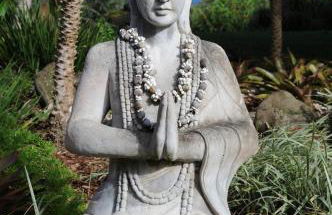 Maui Eco Retreat - Foto 22