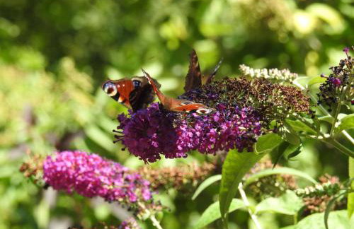 Za Siódmą Górą - Foto 60