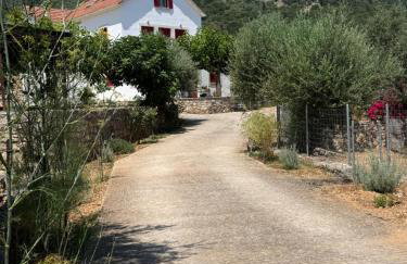 Pandora Villa - Foto 46