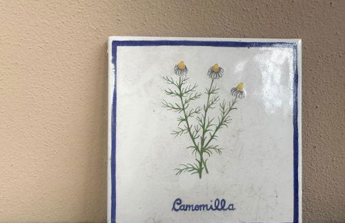 Podere La Saliciaia - Foto 11