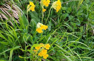 Appartamento Volturina - Foto 12