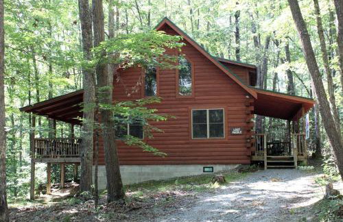 Idyllic Cabin Rental Nestled in the Forest near Summersville, West Virginia - Foto 6