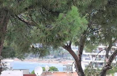 Torre Alta Salou - Foto 23