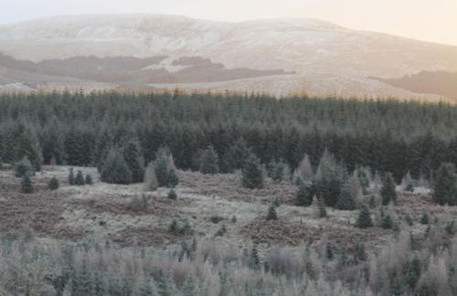 The Coorie - Foto 27