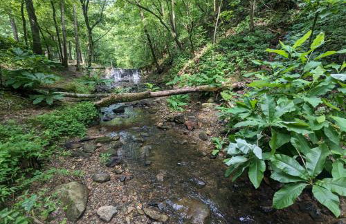 The Prancing Pony Guest House at Edendell - Foto 45