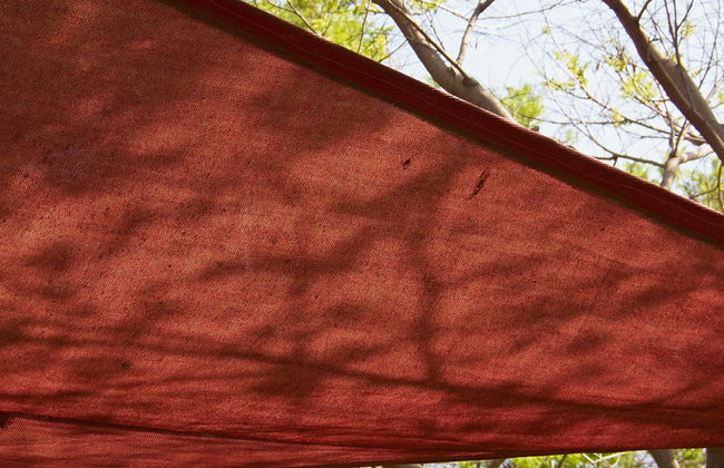 Noite em acampamento suspenso do oásis de Pica - Foto 1