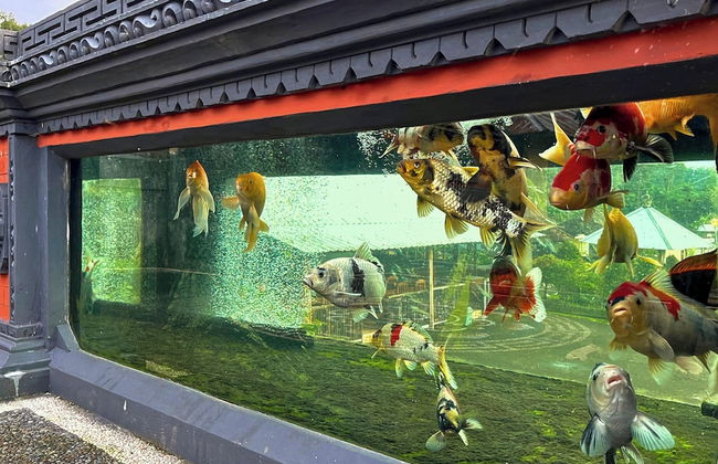 Munduk Luwih Ecolodge Bedugul by AGATA - Foto 37