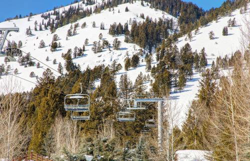 Abode at Moose Creek #21 - Foto 63