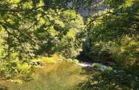 Lar da cima - Foto 51