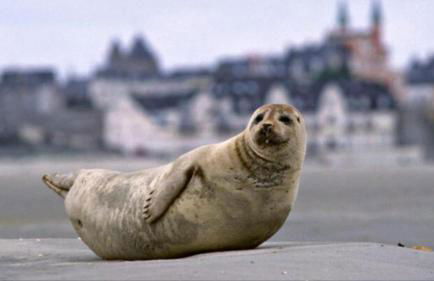 Maison spacieuse avec jardin et feu de bois et parking gratuit pour 3 voiture - Foto 9