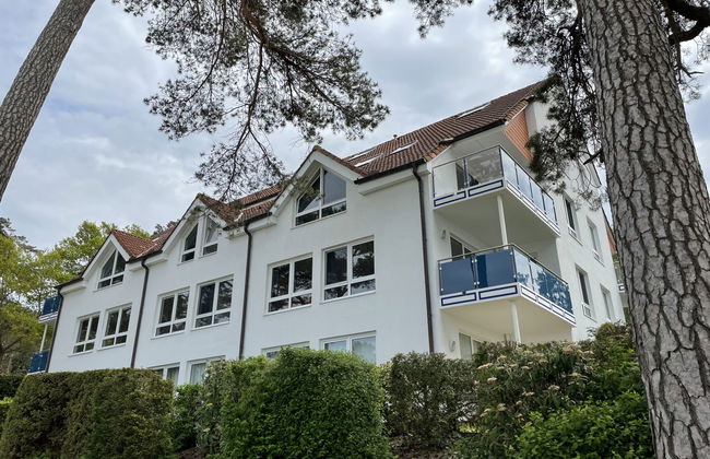 Blaumuschel (LUB101) - Foto 34