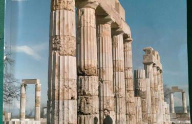 2BDR Downtown Veria Peach Blossom - Photo 25