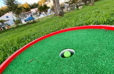 Quinta Alfaval - Foto 11