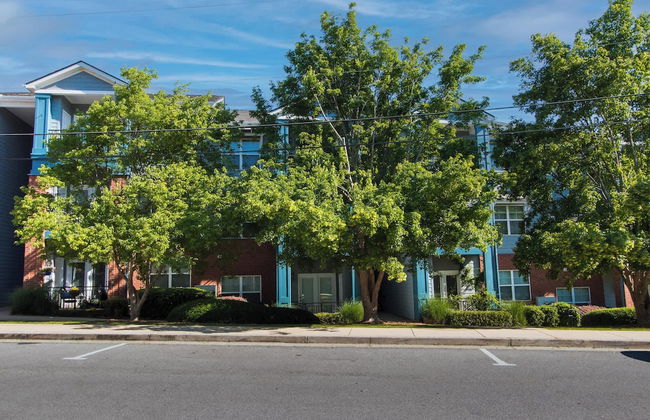 Low Country Dawg House Stunning Walking Trails! - Foto 22