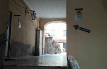 Alpivida Home - Foto 19