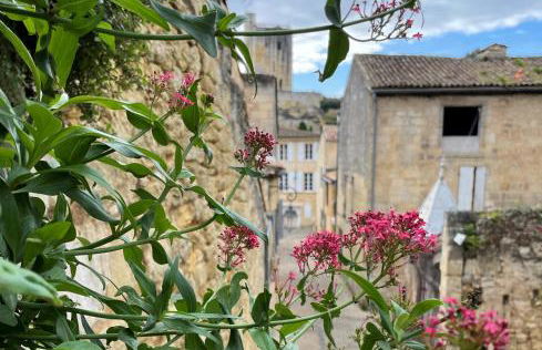 La Petite Fontaine - Foto 17