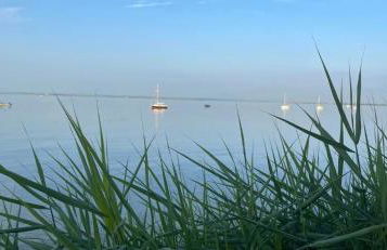 Stunning sea views from rooms and terraces - Foto 15