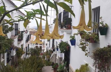 Casa de las Flores - a picture perfect location! - Foto 6