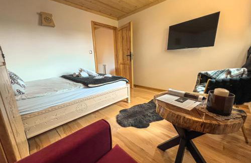 Pensjonat Dzianiszówka - Basen Jacuzzi Sauna - Foto 74