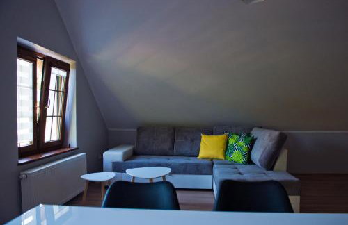 Apartamenty Buczyna w Sierakowie - Foto 35