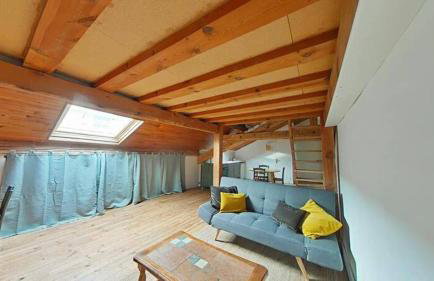 Grand studio lumineux proche gare Bellevue & tram - Foto 4