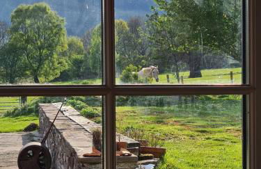 Brecon Beacons Lovely cottage with stunning views - Photo 31