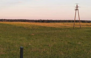 W Szczerym Polu - Foto 29