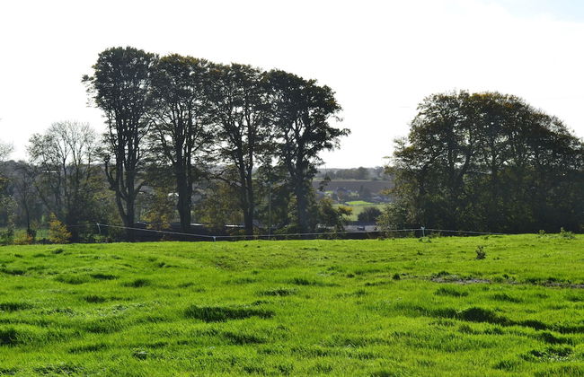 Skryne Castle Built in 1142 - Photo 34