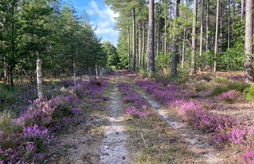 la Porte aux Dames - Foto 55