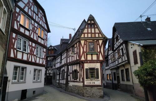 Rheinferien - Foto 22