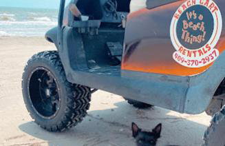 Pet-Friendly, Arcade Games, Beach, Ocean View - Foto 14