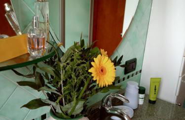 I 4 elementi - Foto 19