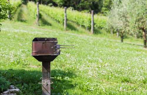 Agriturismo Terre Bianche - Foto 45