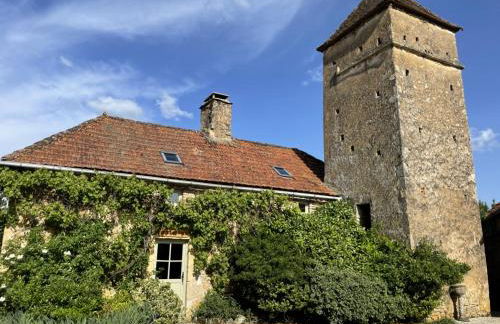 Gites du Boussagou - Foto 33