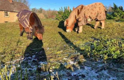 Blacksmith’s Barn - Cosy, Chilled & Dog Friendly. - Foto 26