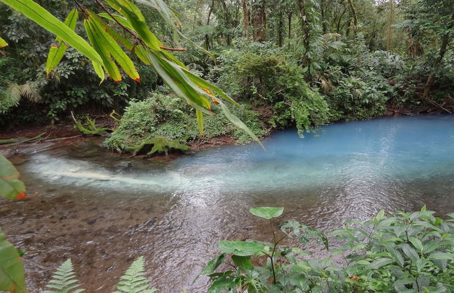 Hotel Finca L’Étoile Celeste - Foto 52