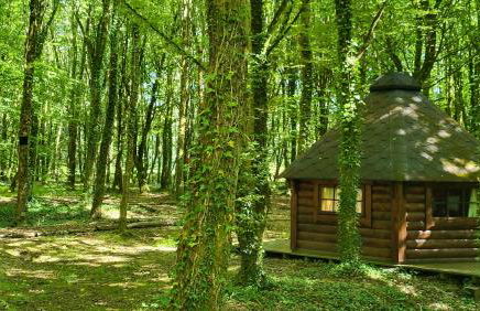 Le Domaine Insolite de Brocéliande - Foto 56