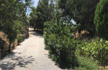 Quinta da Fervença, private river place to relax.. - Foto 6