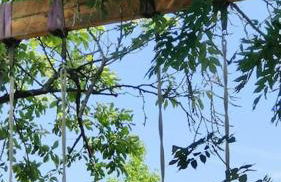 Maison familiale : charme & nature - Foto 36