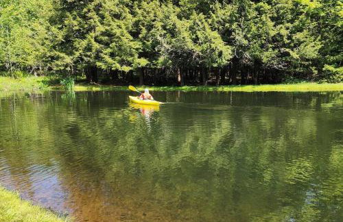 Lux estate! Hot tub, 8 acres, firepit, game room, private pond, EV, lots of privacy, 10 mins to town - Foto 66