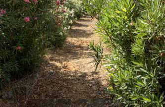 Vigna Luisa Resort - Near Rome - Foto 48