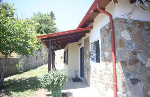 Boletus MushROOM - Foto 27