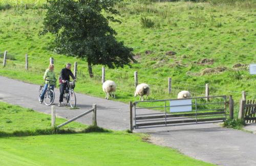 Rosenhof12 - Foto 17