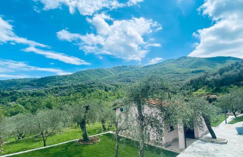 Casa vacanze gli ulivi - Foto 12