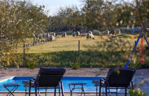 Villa Niko PET FRIENDLY 200 M FROM HIDDEN SANDY BEACH pets stays for free - Photo 3