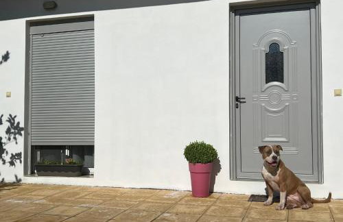 Kalosýni Holiday Home Lefkada - Foto 8