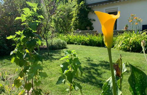 Pension Gesundbrunnen - Foto 35