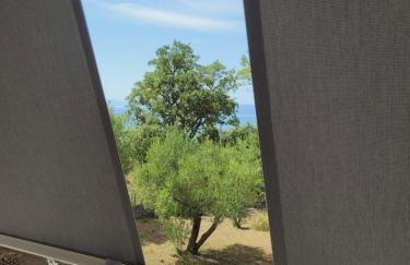 Villa Duchessa I Piano - Foto 9