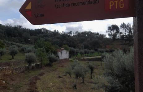 Olive -Casa da Boavista - Foto 17