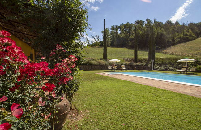 Corbezzolo - Foto 36